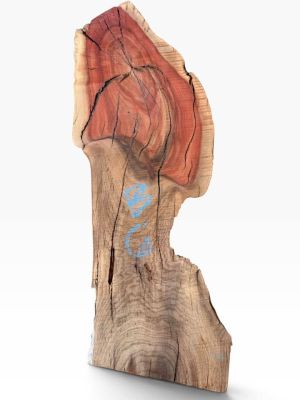 ???? Sculptural Pistachio Slab Live Edge, Wild Red Heartwood ????