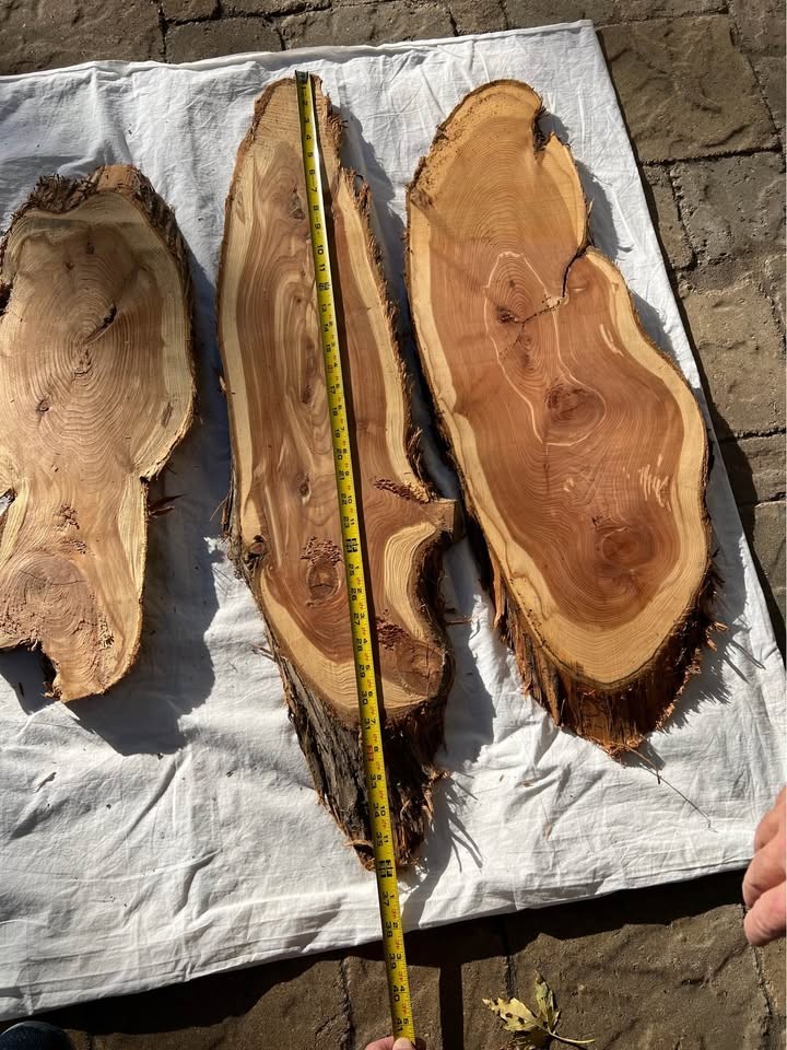 Live Edge Cedar Wood Slices/slabs - 
Individual or the Lot - Image 6