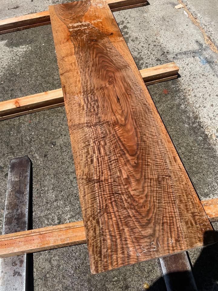Extremely Figured Bastogne Walnut Slab - Image 3
