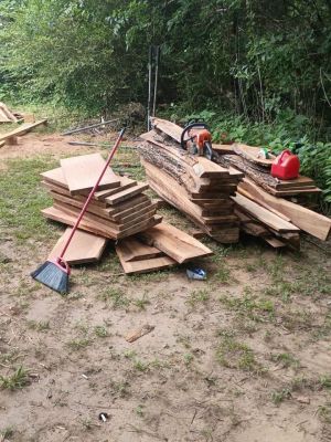 Wood slabs sale
