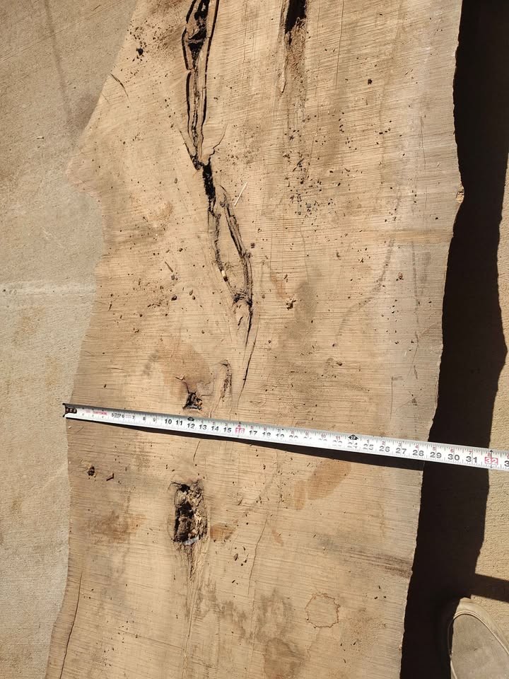 Wood slabs sycamore - Image 2