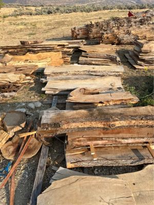 Wood slabs available