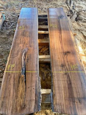 Black Walnut Live Edge Slabs