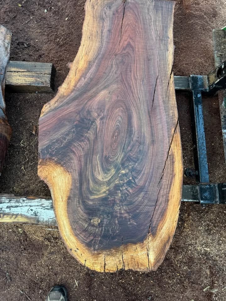 Black Walnut Live Edge Slabs - Image 7