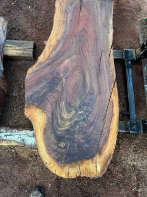 Black Walnut Live Edge Slabs