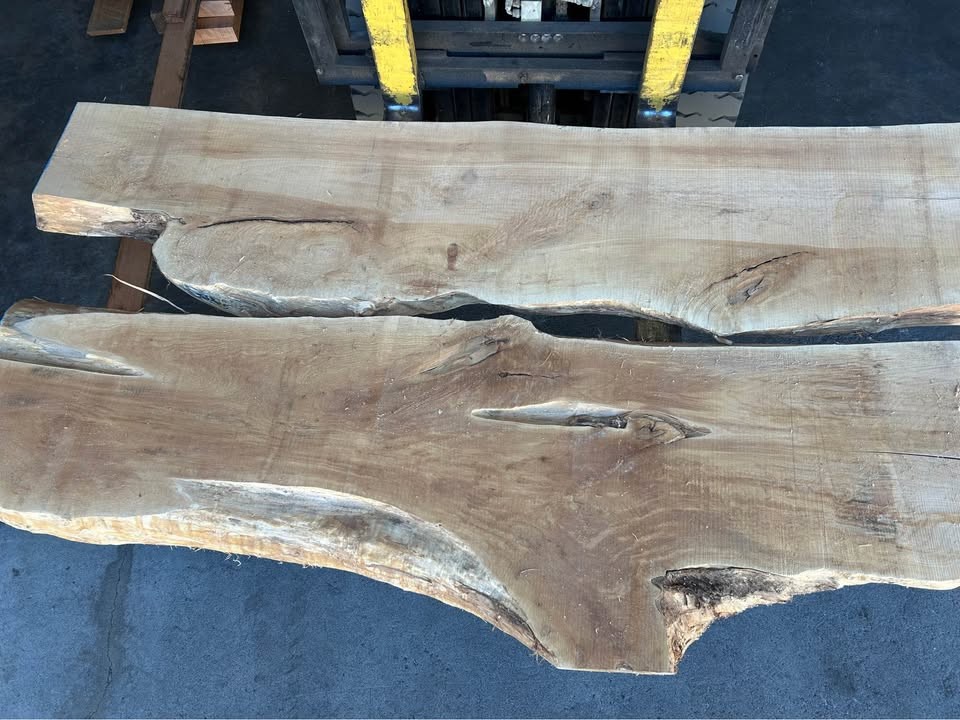 Live edge maple slabs - Image 3