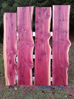 Wide Cedar Live Edge Slabs