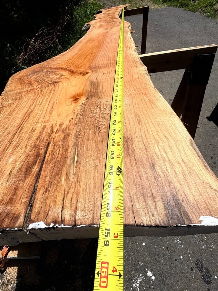 Live Edge Slab nice figure 13 ft. Long Bar or Tabletop air dry 13% max moist - Image 7
