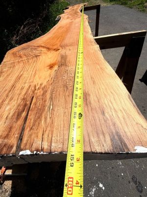 Live Edge Slab nice figure 13 ft. Long Bar or Tabletop air dry 13% max moist