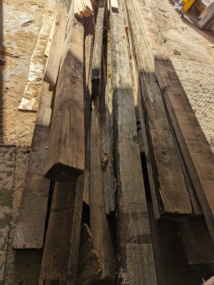 The Great Fall Wood Purge - Image 2
