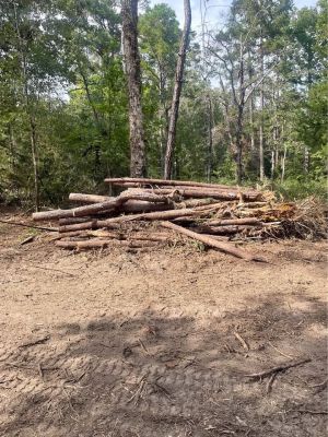 Free wood pine and oak mix