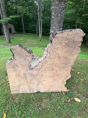 Live Edge Piqua Wood Slab
