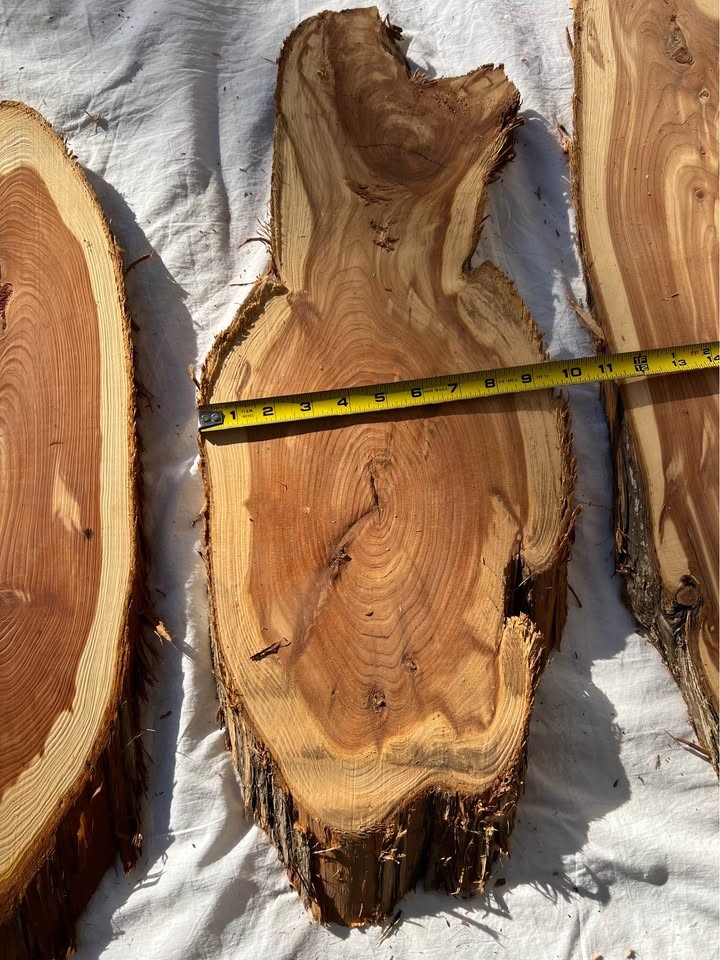 Live Edge Cedar Wood Slices/slabs - 
Individual or the Lot - Image 5