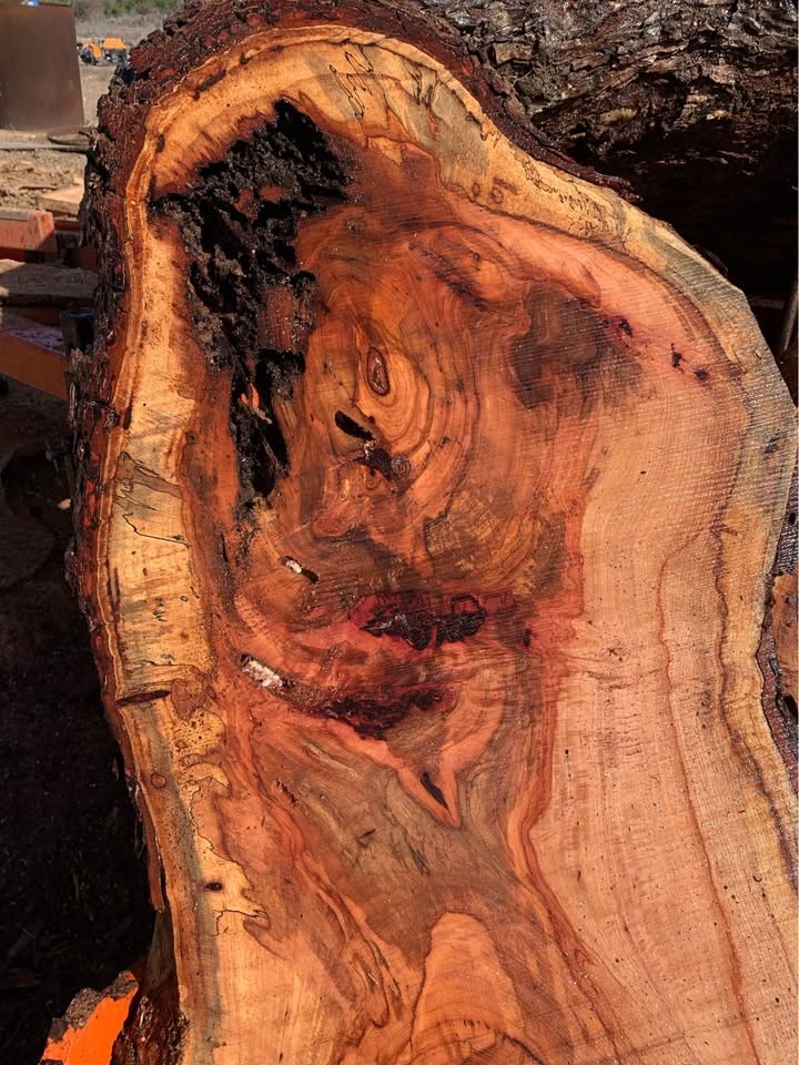Spalted Pecan - Image 2