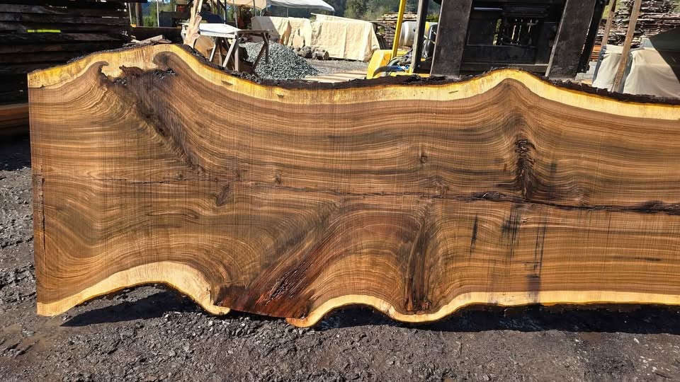 Wood slabs , Vacuum Kiln dried and surfaced flat , 800 fully dried slabs - Image 7