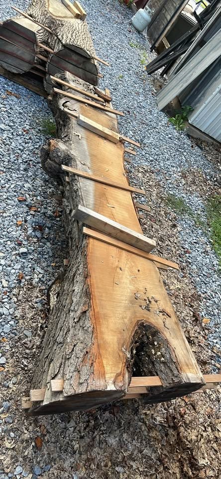 Live edge slabs - Image 2