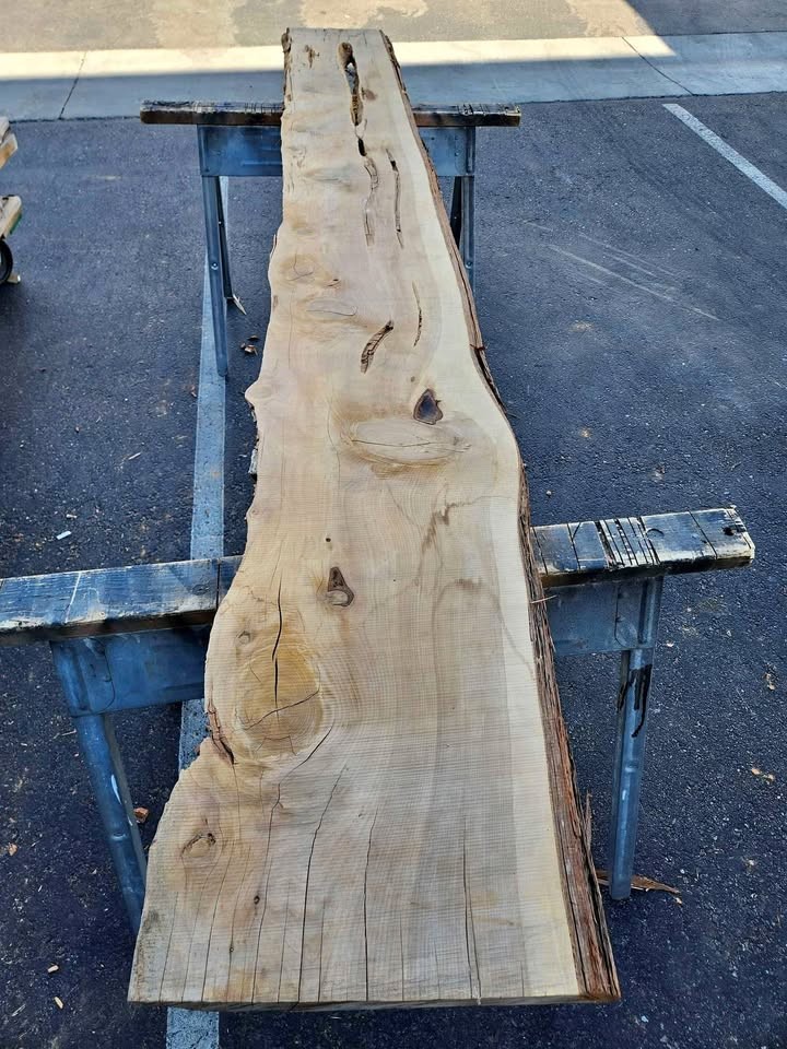 Live Edge Wood Slab - Kiln Dried Juniper - 3x15x9'3" - Great Epoxy Project Material - Image 1