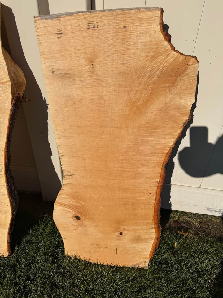 Live Edge Maple Wood Slab 38" x 20" - Image 8