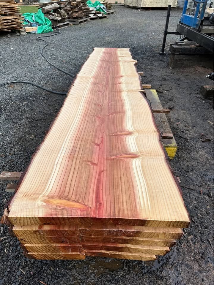 Sequoia Slabs - Image 8