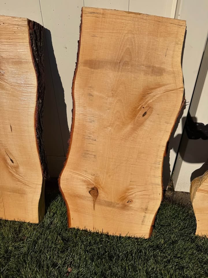 Live Edge Maple Wood Slab 38" x 20" - Image 6