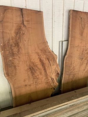 Live edge walnut slabs & more!