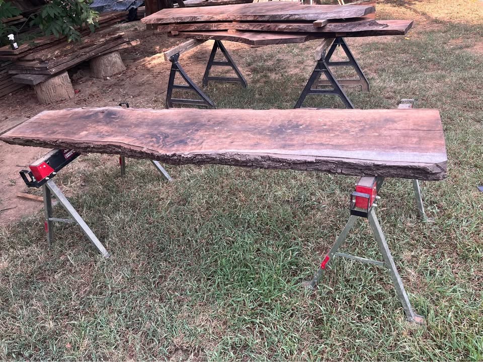 Live edge black walnut slab 8ft 10" inches long and 19-21 inches wide and 3inches thick - Image 2
