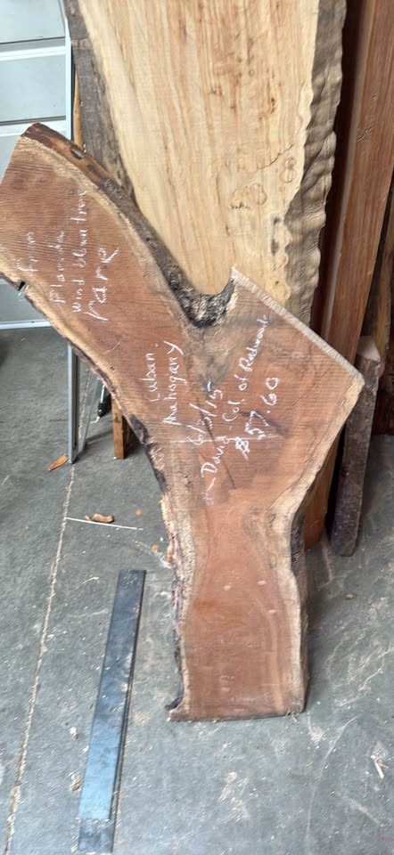 Cuban Mahogany Live Edge Crotch Slab – Unique Y/Fork Shape - Image 1