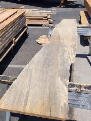 Wood Project Live Edge Slab - 1x20x8.5ft