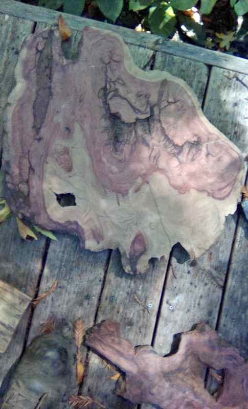 Live Edge Wood Slabs for Woodworking - Image 1