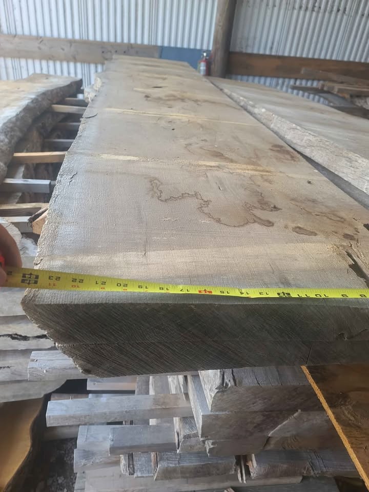 White Oak 2.5"× 24"×11' KD Slabs - Image 2