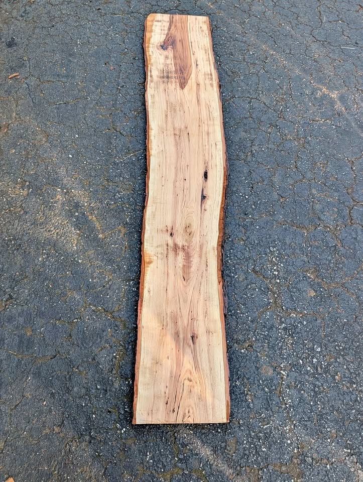 Live Edge Wood Slab - Image 1