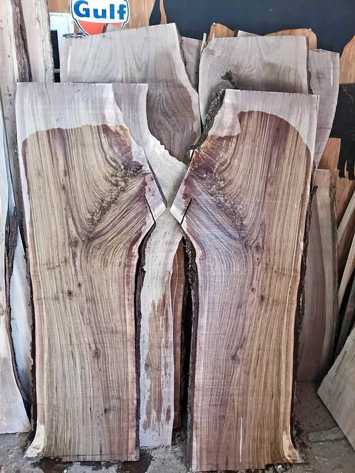Walnut slabs - Image 1