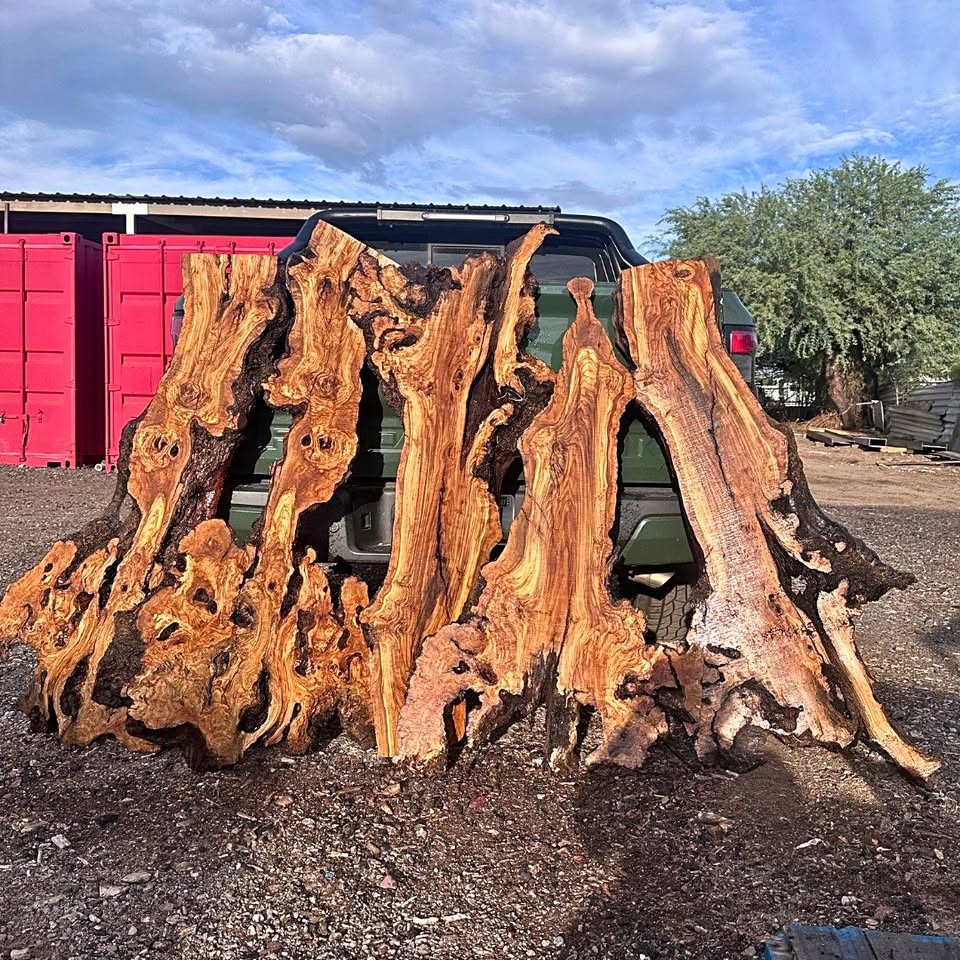 Large Live Edge Olive Wood Slabs for Tables, Resin Epoxy, Coffee Tables - Image 1