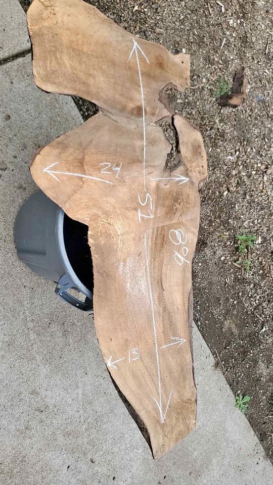 Dried Walnut live edge slab - Image 1