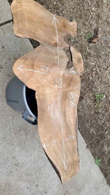 Dried Walnut live edge slab