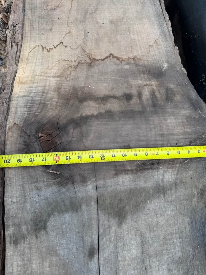 Black walnut slabs - Image 3
