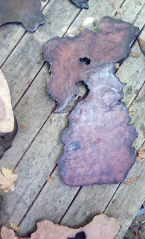 Live Edge Wood Slabs for Woodworking - Image 7