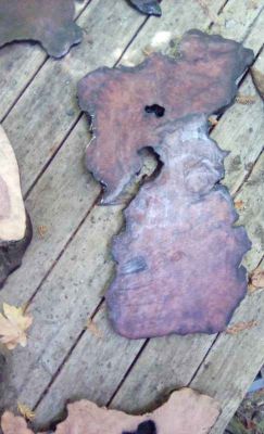 Live Edge Wood Slabs for Woodworking
