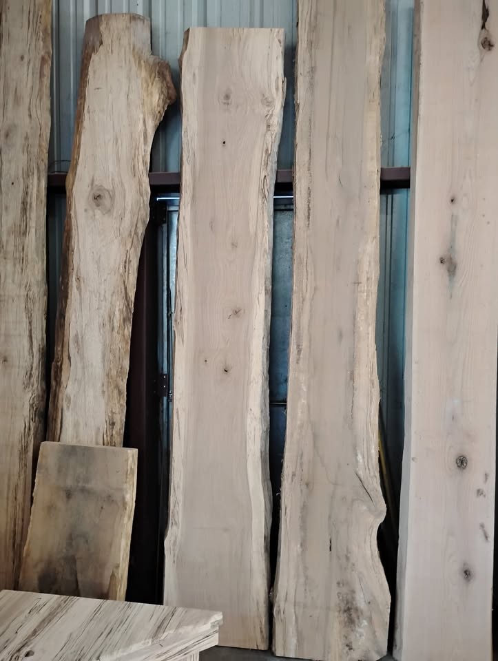 Oak Wood Slabs - Image 7