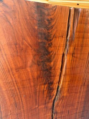 Live Edge Black Walnut Slab - Hit By Lightning - 2 1/2" thick x 46 1/2" long