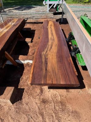 Black Walnut Live Edge Slabs
