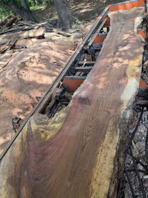 2” live edge slabs