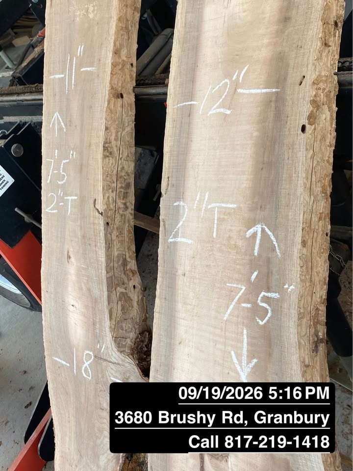 Live edge Wood, Yours or Ours - Image 5