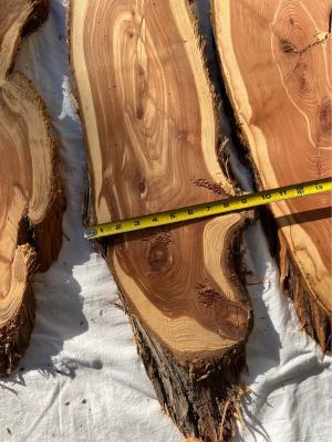 Live Edge Cedar Wood Slices/slabs - 
Individual or the Lot