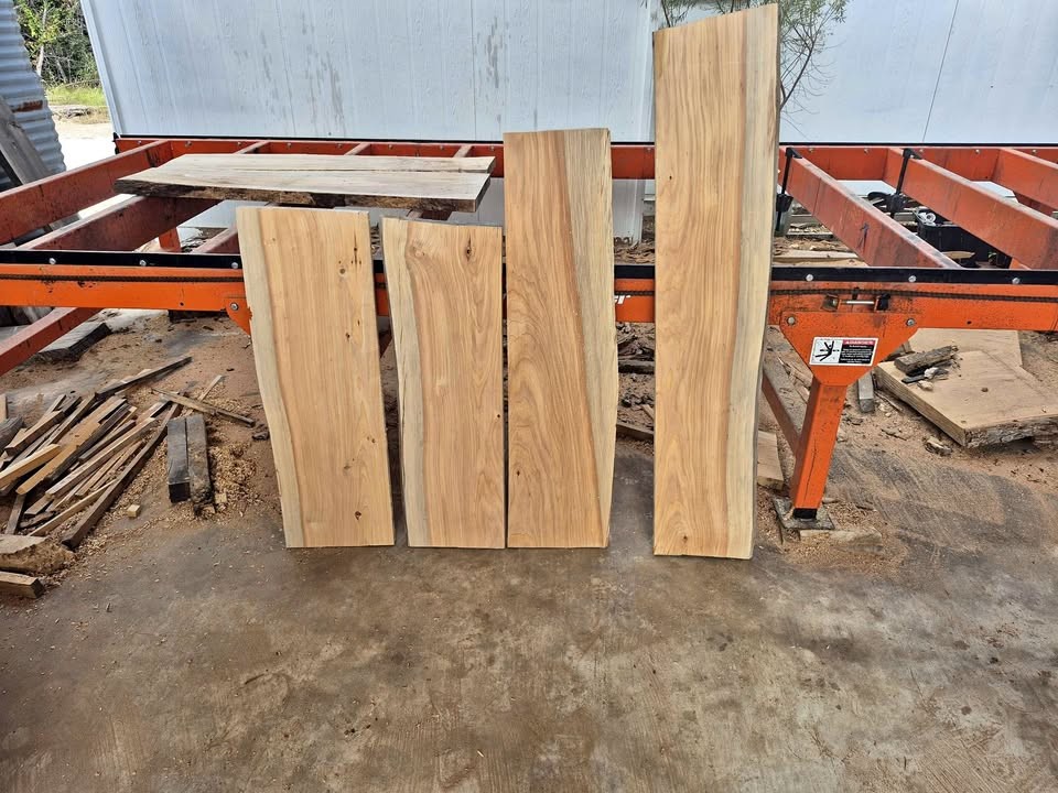 Live edge Cypress slelves