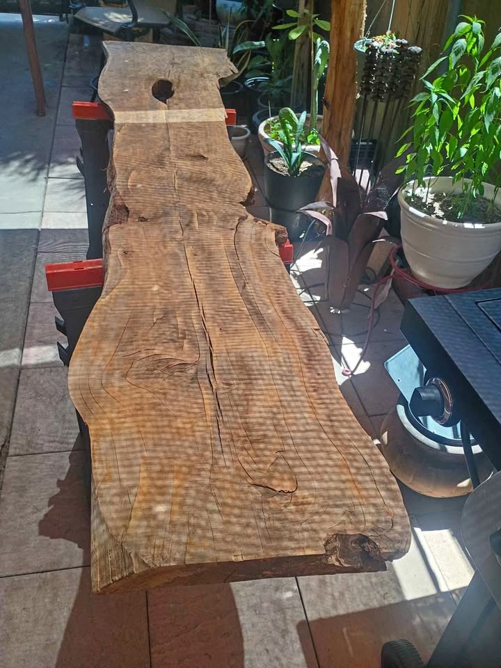 Wood slab - Image 1