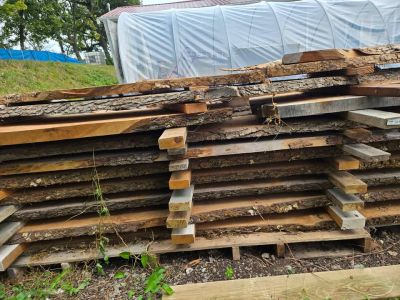 Live edge wood slabs and beams