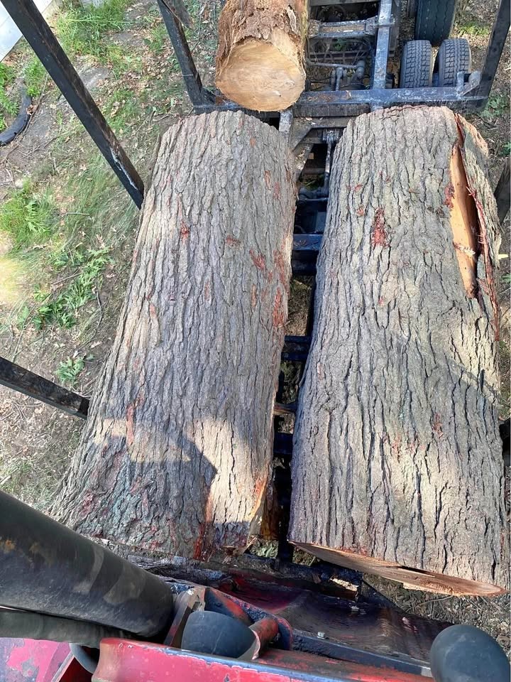 Log For Slabs - Image 1