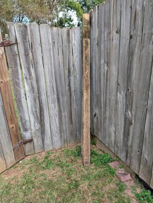 2 Pressure-Treated Wood Posts