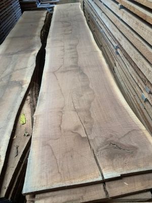 Live edge walnut slabs & more!